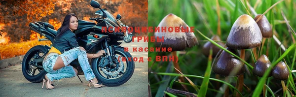 герыч Алексин