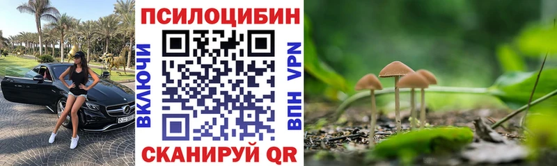 Псилоцибиновые грибы Psilocybine cubensis  Ардатов 
